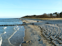 Strand im Winter